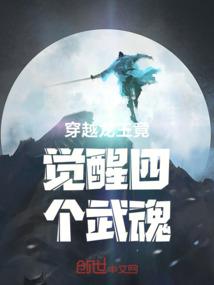 穿越龙王竟觉醒四个武魂